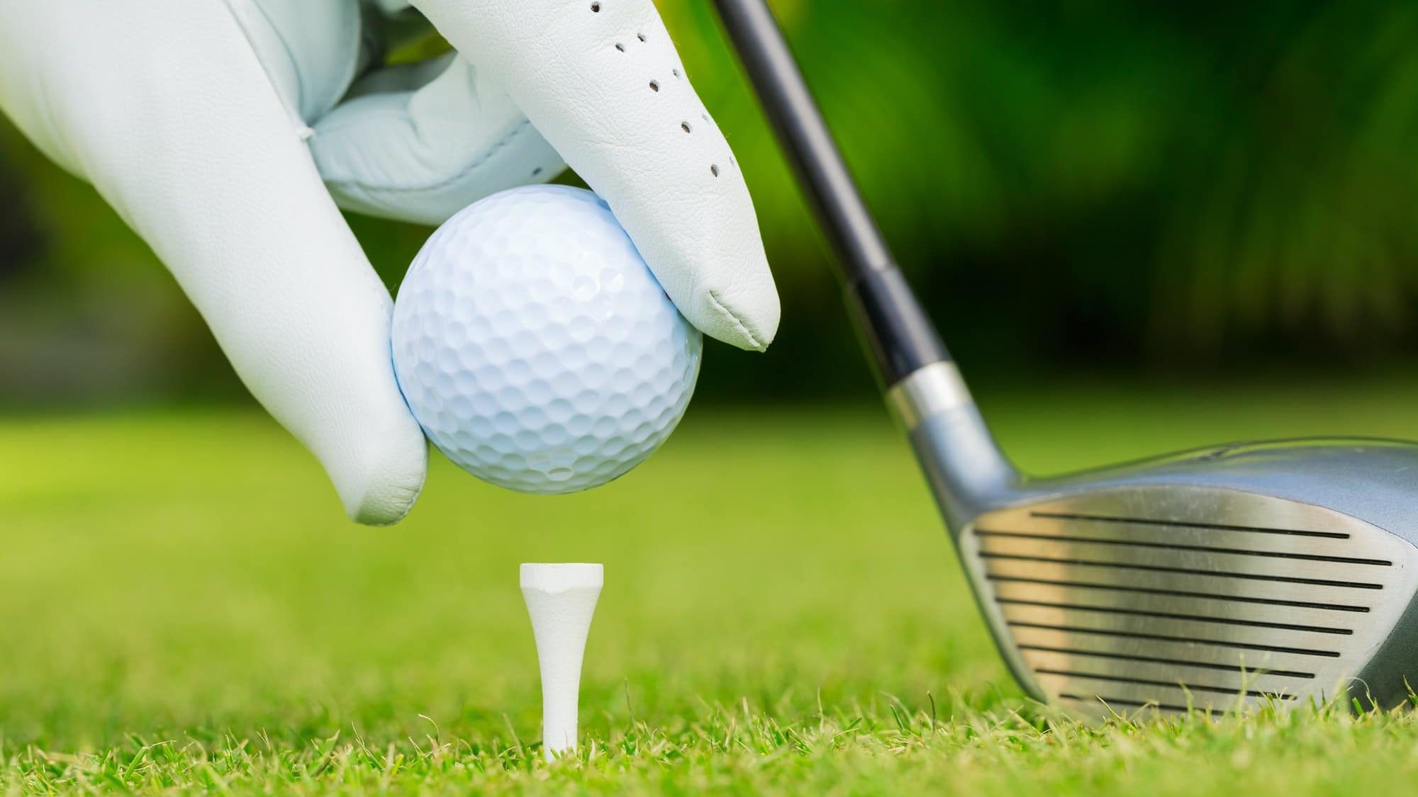 Close up view of golf ball on tee on golf course